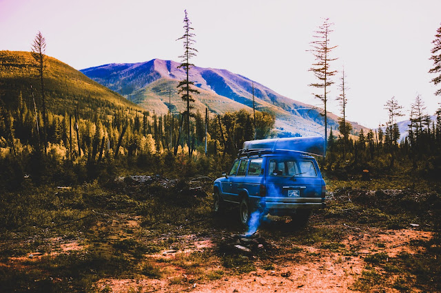 Шкода завдана падінням дерева на авто Akash Gupta LoU8Xw2 RXQ Unsplash